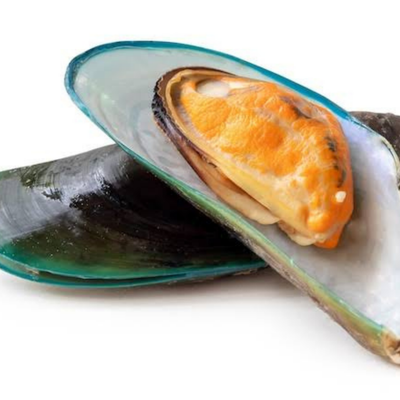 Mejillón verde
