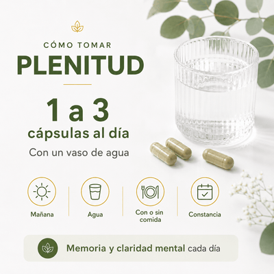 PLENITUD: Apoyo para la memoria y la concentración - Solnaturaleza2