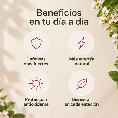 Pack Defensas - Solnaturaleza2