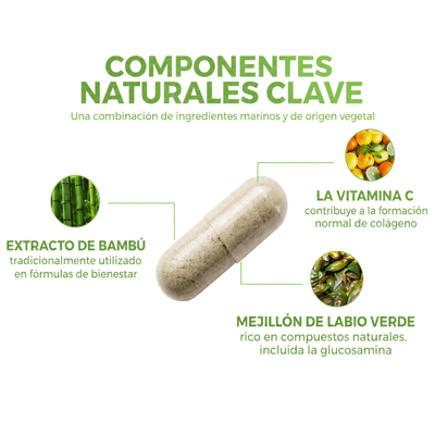 New Zeland Glucosaminas Mejillon + Bambú + Vitamina C - Solnaturaleza