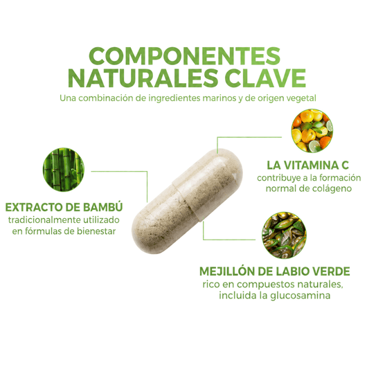 New Zeland Glucosaminas Mejillon + Bambú + Vitamina C - Solnaturaleza