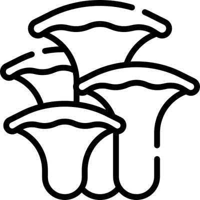Coriolus: el segundo ingrediente