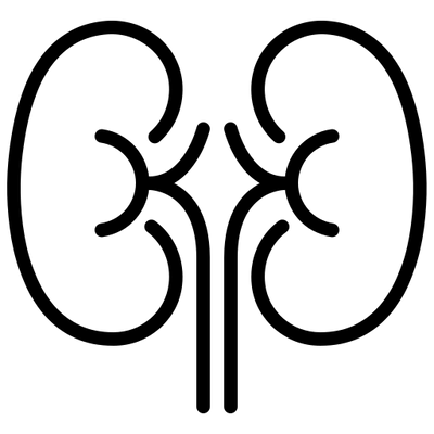 Maca andina